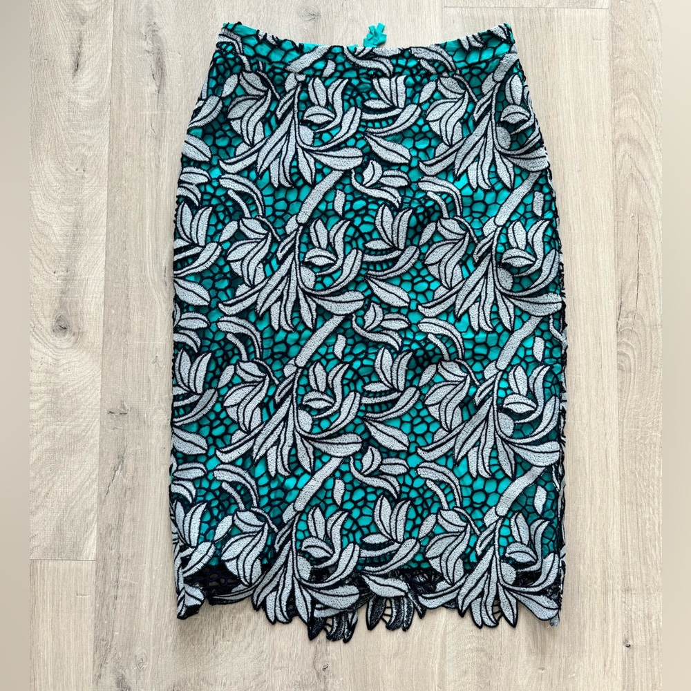 Anthropologie Pencil Skirt